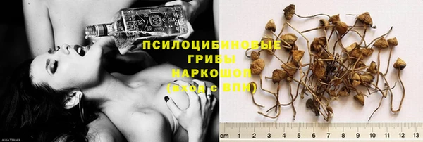 эйфоретик Богородицк