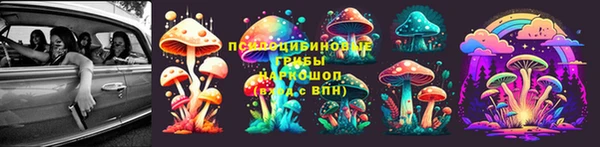 эйфоретик Богородицк