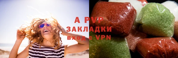 амф Бородино