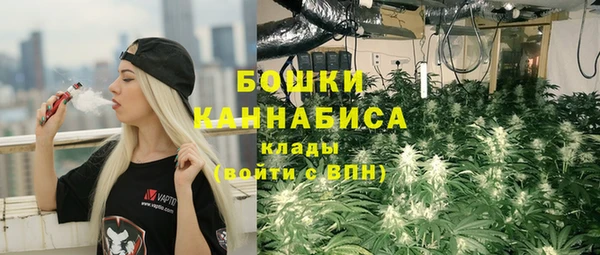 ПСИЛОЦИБИНОВЫЕ ГРИБЫ Бронницы