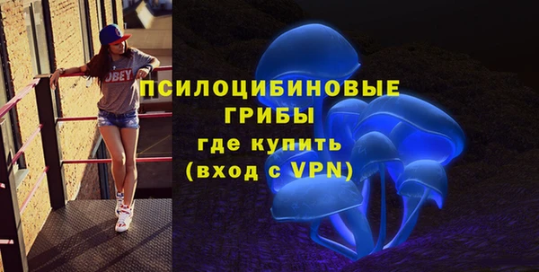 spice Богданович