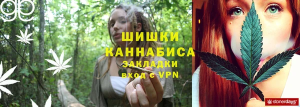 spice Богданович