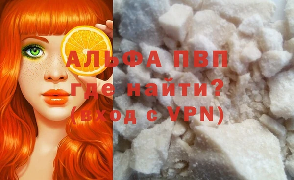 spice Богданович