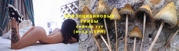 эйфоретик Богородицк