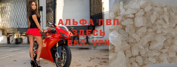 spice Богданович