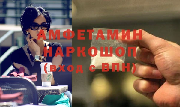 spice Богданович